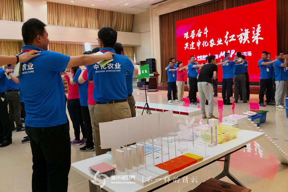多米诺、乐高共绘中化农业红旗渠大MAP