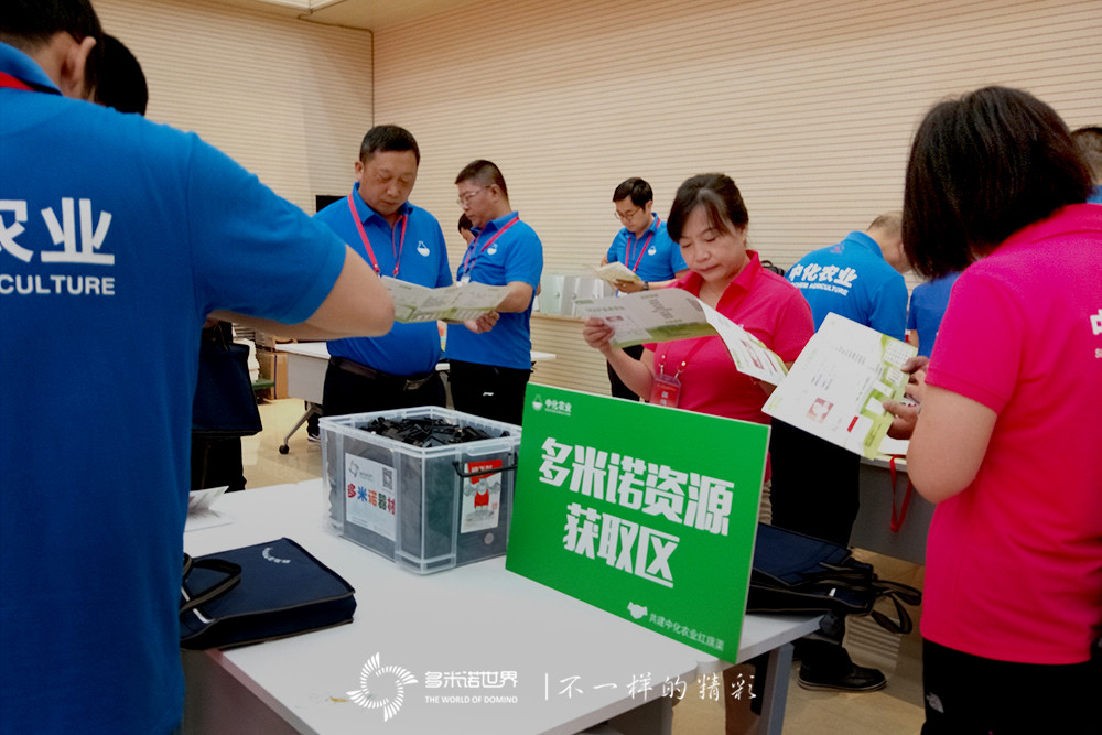 多米诺、乐高共绘中化农业红旗渠大MAP