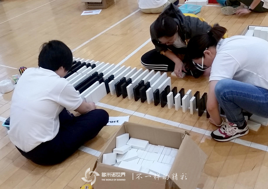 德国大陆团队再次邀约多米诺