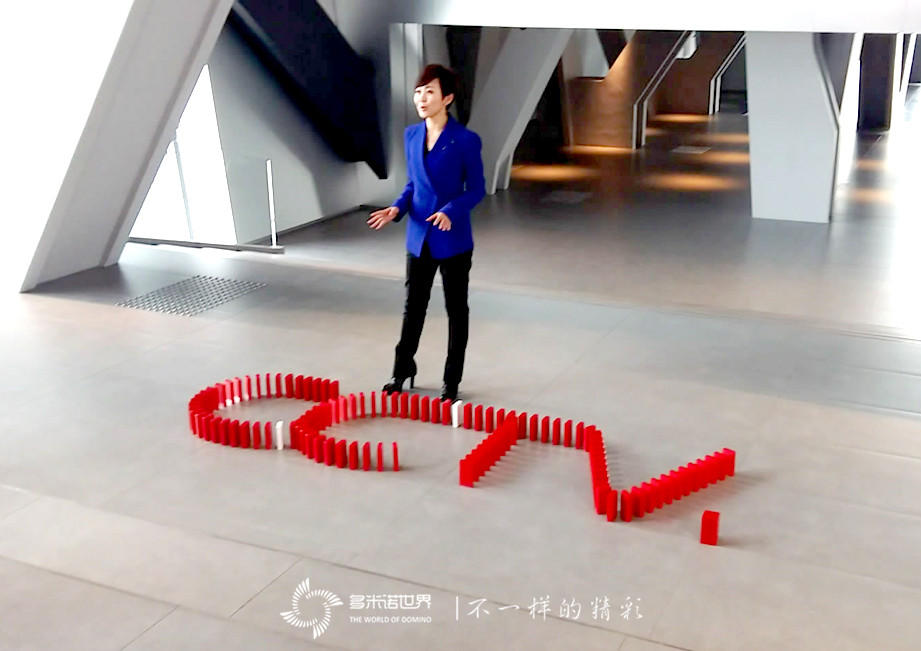 多米诺数说CCTV2015