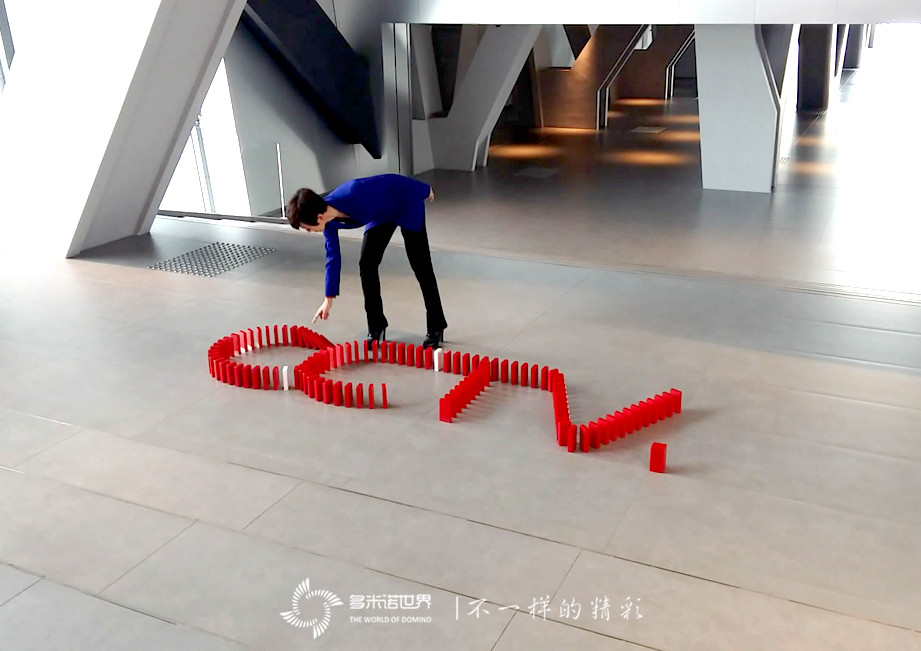 多米诺数说CCTV2015
